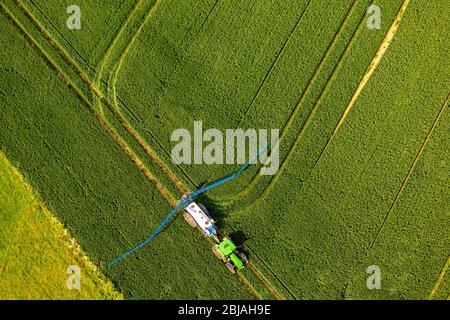 Trattamento antiparassitario su un campo a Soerster Boerde, 07.06.2019, vista aerea, Germania, Renania settentrionale-Vestfalia, Werl Foto Stock