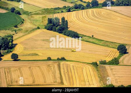 , raccolto su campi agricoli a Hattingen, 19.07.2016, vista aerea, Germania, Renania settentrionale-Vestfalia, Ruhr Area, Hattingen Foto Stock