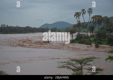 Le peggiori inondazioni in 50 anni a Samburu/Buffalo Springs. Il fiume Ewayiso Nyrio allagando le banche e gli alloggi come Ashnil Samburu. Evacuazione in elicottero Foto Stock