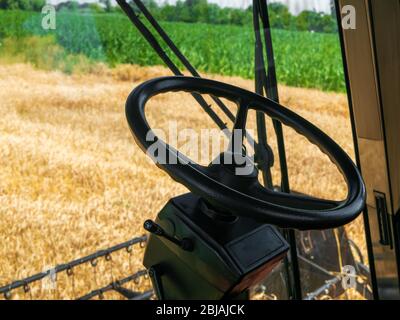 Grano che raccoglie in estate. Vista dalla cabina della mietitrebbia sul campo di brillanza. Trebbiatrice agricola per raccolto di grano maturo dorato attivata Foto Stock