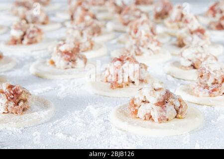 Carne tritata con pasta, il processo di preparazione di gnocchi fatti in casa. Cucina russa. Foto Stock