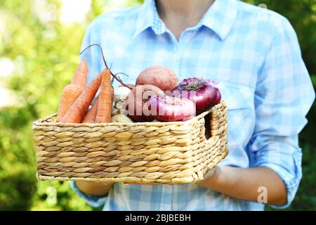 Donna che tiene scatola di vimini con verdure fresche Foto Stock