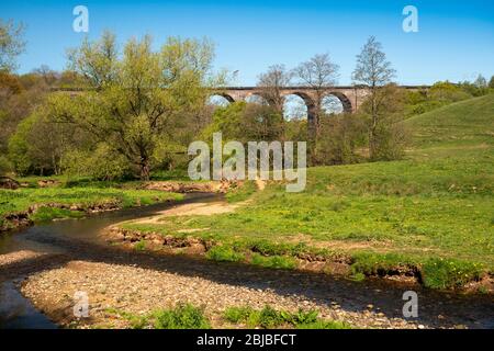 Regno Unito, Inghilterra, Cheshire, Congleton, Dane in Shaw Meadow, Dane in Shaw brook e West Coast mainline viadotto ferroviario Foto Stock