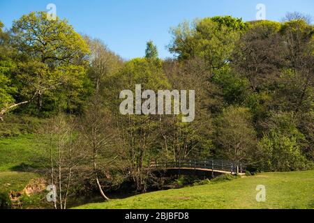 Regno Unito, Inghilterra, Cheshire, Congleton, Dane in Shaw Meadow, passerella su Dane in Shaw brook Foto Stock