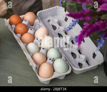 Le uova di pollo biologiche si siedono in una scatola sul tavolo in un mercato agricolo, con fiori freschi in primo piano, Madison, CT, USA Foto Stock