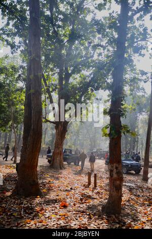 Fare una pausa per la colazione nel parco nazionale di Bandhavgar. Un'impressione turistica della prima visita in India alla ricerca di tigri e cultura. Foto Stock