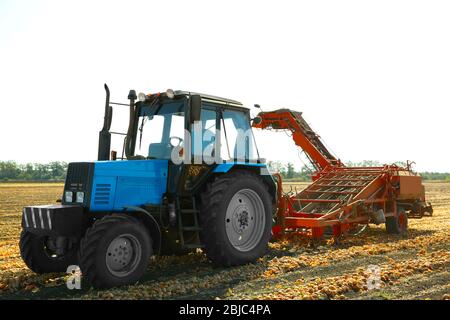 Raccolta di cipolle con attrezzature agricole moderne in campo Foto Stock