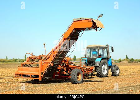 Raccolta di cipolle con attrezzature agricole moderne in campo Foto Stock