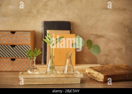 Piante in diversi vasi di vetro sul tavolo in camera Foto Stock
