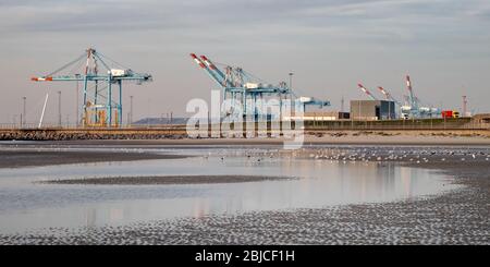 Zeebrugge, Belgio - 31 Ottobre 2019: gru del porto di Zeebrugge visto dalla spiaggia Foto Stock