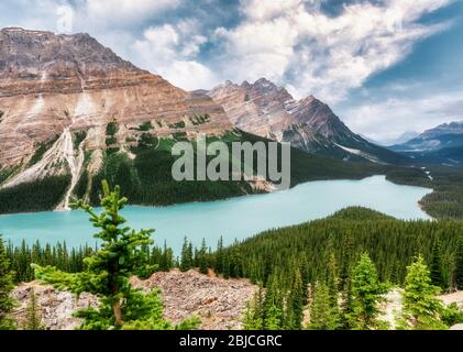 Peyto Lake nelle Montagne Rocciose Canadesi, Alberta, Canada Foto Stock