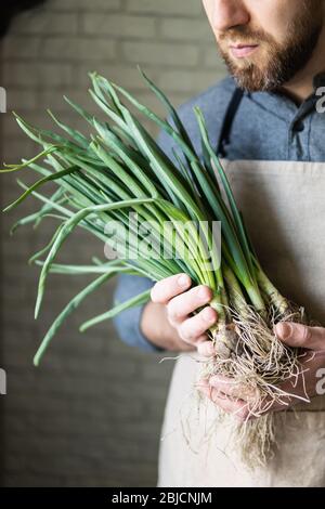 Giovane uomo in grembiule rustico con un mazzo di cipolle verdi. Concetto di cibo sano, vegetariano e biologico. Foto Stock