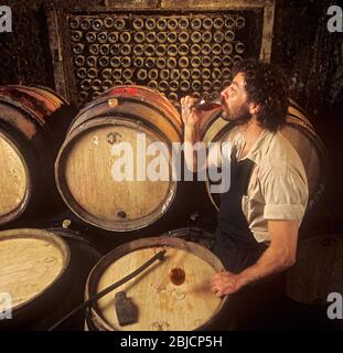 Degustazione di vino rosso Pinot Nero estratto dalla botte nelle cantine della cantina Louis Latour Château de Grancey, Borgogna Francia Foto Stock