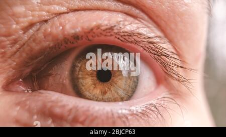Primo piano di un occhio femmina rosso stanco, senza trucco. Riprese macro. Foto Stock