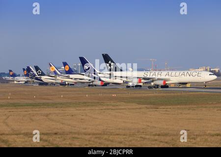 Francoforte, Germania – 7 aprile 2020: Aerei Lufthansa durante il Coronavirus Corona Virus COVID-19 presso l'aeroporto di Francoforte in Germania Foto Stock