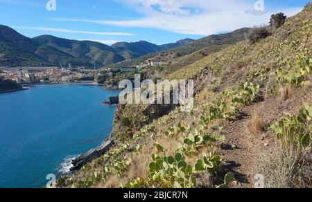 Sentiero lungo la costa vicino a Portbou città, Spagna, Costa Brava, Mar Mediterraneo, provincia di Girona, Catalogna, Alt Emporda Foto Stock