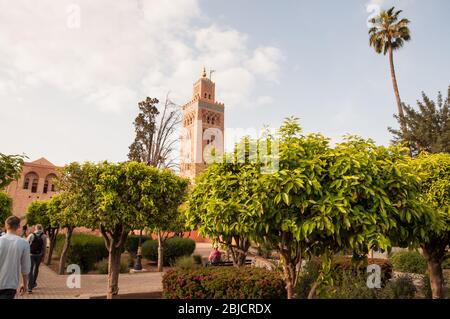 palme di fronte a Koutoubia; Marrakech; Marocco Foto Stock