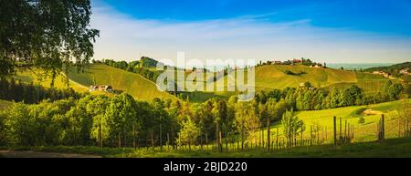 Panorama dei vigneti della Stiria meridionale vicino al confine Austria - Slovenia. Vista sui campi di vigneti al tramonto in primavera. Foto Stock