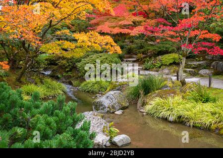 Giardino giapponese con brillante Red e oro caduta Maple Foliage tettoia su un ruscello Foto Stock