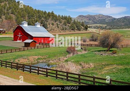 Un bellissimo fienile rosso in un ranch vicino al fiume John Day, nell'Oregon centrale. Foto Stock