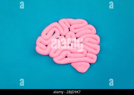 Modello di cervello umano rosa su sfondo blu. Vista profilo, disposizione piatta. Concetto di intelligenza. Foto Stock