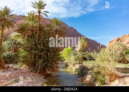 Torrente a Gola di Todra in Marocco Foto Stock