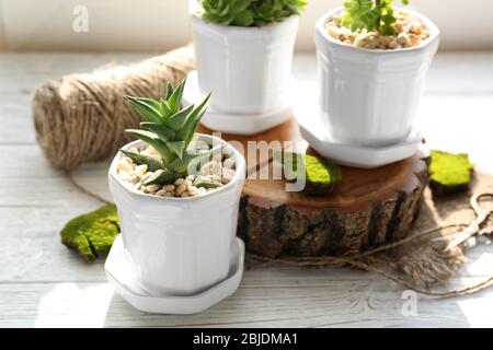 Bella casa in pentola su tavolo di legno bianco, primo piano Foto Stock