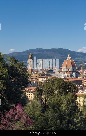 Cattedrale di Santa Maria del Fiore (Cattedrale di Santa Maria del Fiore) a Firenze, Toscana, Italia. Foto Stock