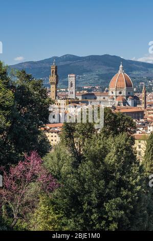 Cattedrale di Santa Maria del Fiore (Cattedrale di Santa Maria del Fiore) a Firenze, Toscana, Italia. Foto Stock