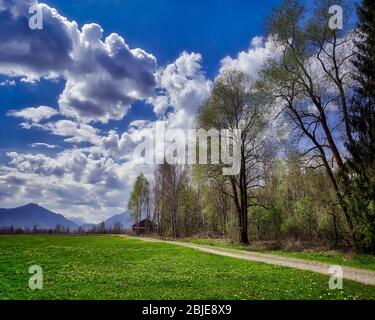 DE - BAVIERA: Hoffilze brughiera scena vicino Bichl (HDR-Image) Foto Stock