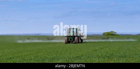 Spruzzare il grano invernale in primavera con un irroratrice Berthoud trainata da un John Deere 6140R. Ripon, North Yorkshire, Regno Unito. Foto Stock