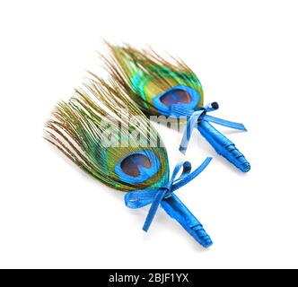 Wedding boutonnieres con peacock feather isolato su bianco Foto Stock