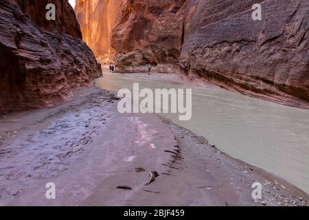 Immagini di un viaggio di backpacking attraverso Buckskin Gulch/Paria Canyon, Vermilion Cliffs National Monument, Utah e Arizona. Foto Stock