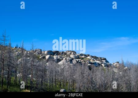 Serra da Estrela catena montuosa nel Parco Naturale. Massi erratici glaciali e conifere bruciate danneggiate dal fuoco in wil drammatico Foto Stock