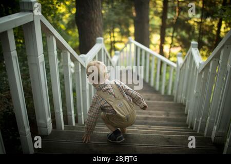 Un ragazzino discende un'alta scala in legno. Foto Stock