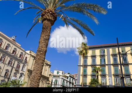 Piazza Dante a Napoli, Campania, Italia, Europa Foto Stock