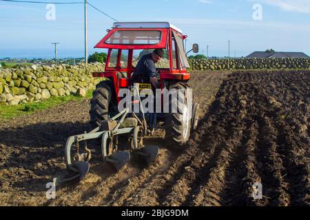 7 Giugno 2018 Un piccolo trattore Massey Ferguson aratro e al lavoro in un campo vicino alle montagne di Mourne vicino a Annalong in Irlanda del Nord Foto Stock