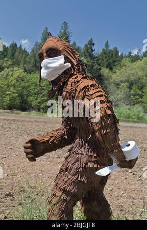 Bigfoot con maschera antivirus COVID-19, che trasporta un rotolo di carta igienica, passando attraverso il campo coltivato. Foto Stock