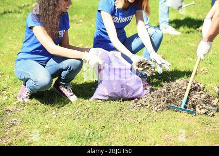 Gruppo di volontari che lavorano nel parco Foto Stock