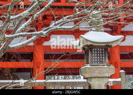 Lanterne nella neve, Koyasan Monte Koya, Wakayama , Giappone Foto Stock