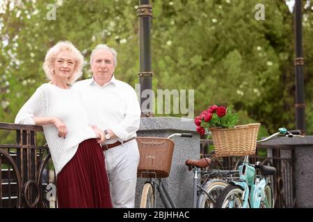Coppia senior con biciclette in piedi vicino recinto nel parco Foto Stock