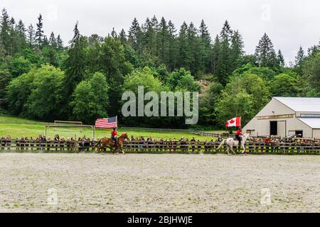 MAPLE RIDGE, CANADA - 5 LUGLIO 2019: Cavalieri con bandiere sul campo durante lo spettacolo finale del campo. Foto Stock