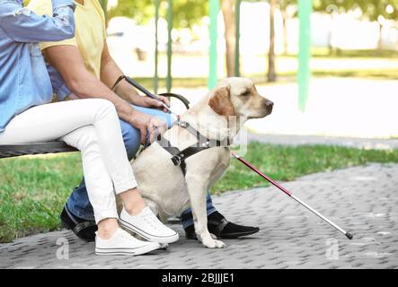 Giovane donna e cieco con cane guida seduto su panchina nel parco Foto Stock