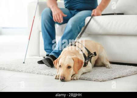 Uomo cieco con cane guida seduto sul divano a casa Foto Stock
