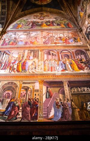 Cappella maggiore nella Basilica di Santa Maria Novella a Firenze Foto Stock