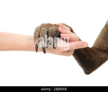 Zampa di cane e mano umana, isolata su bianco. Concetto di volontariato e rifugi animali Foto Stock