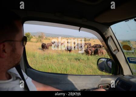 Centri turistici in Uganda, Africa Centrale. Foto Stock