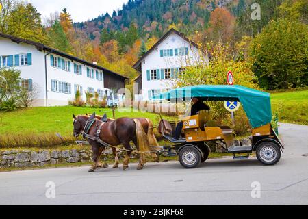Hohenschwangau, Germania - Ottobre 2019 : giro in carrozza a cavallo al Castello di Neuschwanstein. Foto Stock