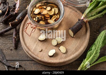 Taglio di radici fresche comfrey raccolte in primavera, per preparare tinture di erbe fatte in casa Foto Stock