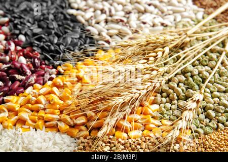 Tipi diversi di cereali e legumi, primo piano Foto Stock